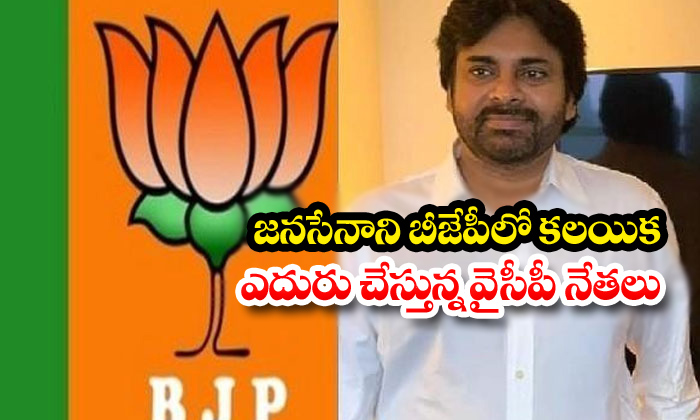  Pawan Kalyan Janasena Jagan-TeluguStop.com