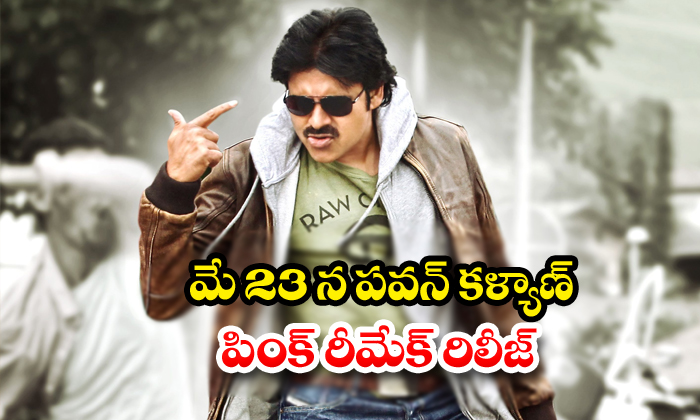  Pawan Kalyan Pink Movie Release In May 23-TeluguStop.com