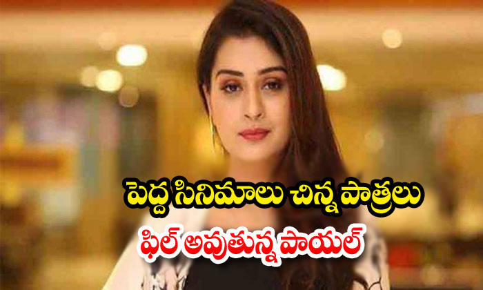  Payal Rajput Feel Bad On His Role In Latest Movies-TeluguStop.com