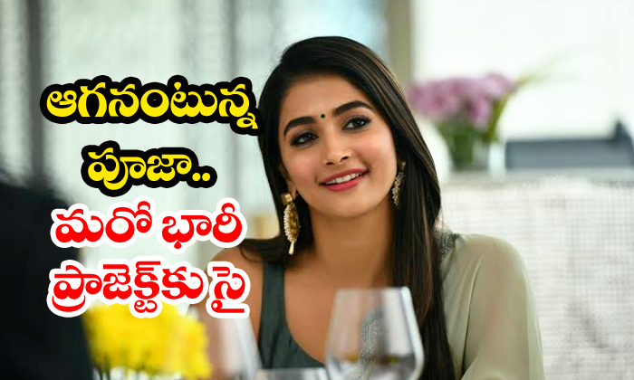  Pooja Hegde Signs Another Big Project-TeluguStop.com