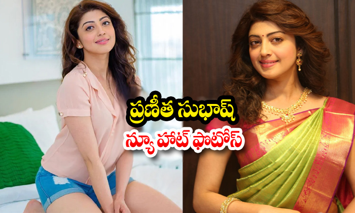 Pranitha Subhash Hot Photos - Pranitha Subhash Hot Photos Pranitha Subhash Spicy Pics Pranitha Subhash Spicy Photos Pra High Resolution Photo