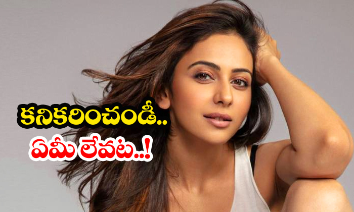  Rakul Preet Singh Requesting Offers-TeluguStop.com