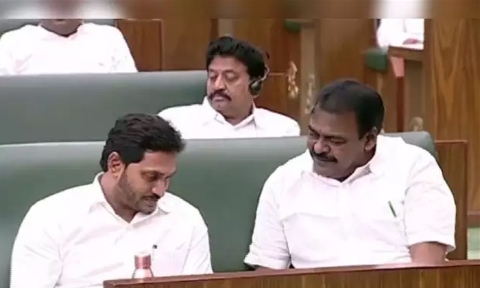 Telugu Assembly, Pawan Kalyan, Rapaka, Ys Jagan-