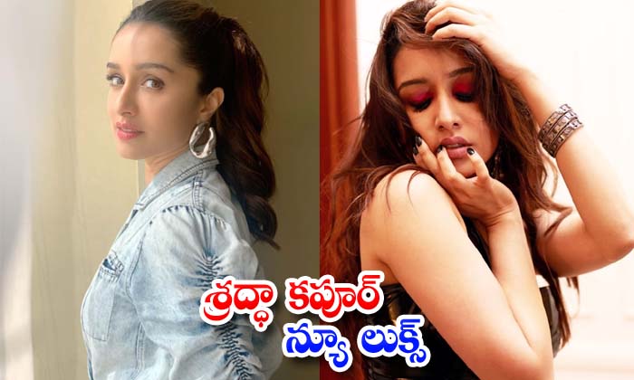 New Spicy: Shraddha Kapoor -  New Spicy Shraddha Kapoor New Bollywood Telugu Model Actress-telugu Actress Photos New Spi High Resolution Photo