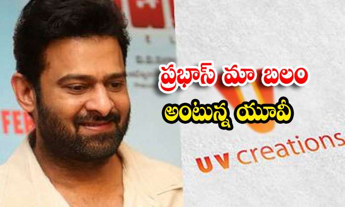  Uv Creations Spend Much Budget For Prabhas New Movie-TeluguStop.com