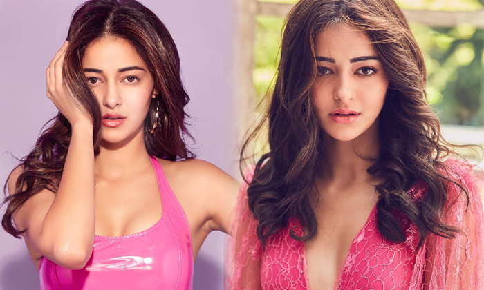 Ananya Panday Hot Images -  Ananya Panday Hot Images Spicy Gallery Clips Album Seen Telugustop Latest Up Dates-telugu Ac High Resolution Photo