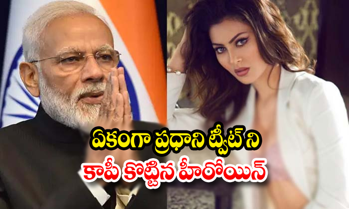  Bollywood Actress Urvashi Rautela Copied Prime Minister Narendra Modi Tweet-TeluguStop.com