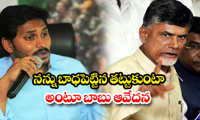  Chandrababu Naidu Coments On Cm Jagan-TeluguStop.com