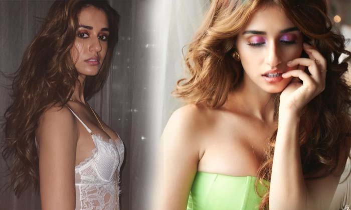 Disha Patani Hot Images -  Disha Patani Hot Images-telugu Actress Photos Disha Patani Hot Images - Albums  Clips Gallery High Resolution Photo