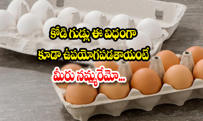  Eggs, Eggs Useful For Weight Loss, Boiled Eggs, Telugu Health, Health Tips-TeluguStop.com