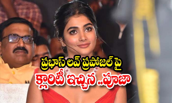  Pooja Hegde About Prabhas Love Proposal Mahesh Babu-TeluguStop.com