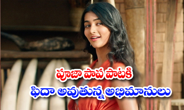  Pooja Hegde Samajavaragamana Song Goes Viral In Social Media-TeluguStop.com