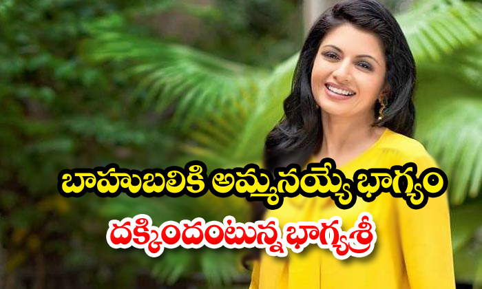  Bhagyashree About Her Jaan Movie Offer-TeluguStop.com