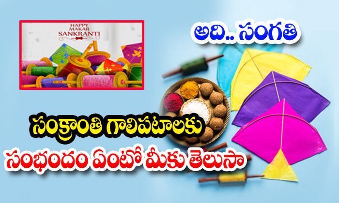  Special Reason Flying Kites On Sankranti Festival-TeluguStop.com