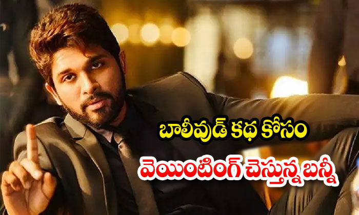  Allu Arjun Interested Act In Bollywood Movie-TeluguStop.com