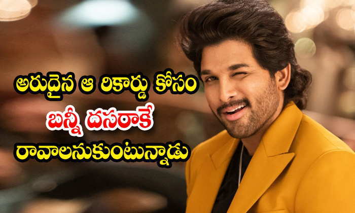  Allu Arjun Next Movie To Release On Dasara-TeluguStop.com