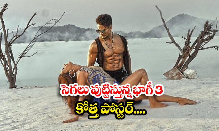  Baaghi 3 Movie Latest Poster News-TeluguStop.com