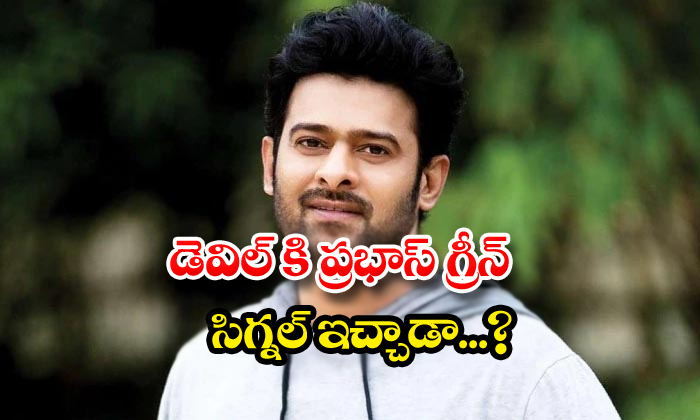  Prabhas And Sandeep Vanga Latest Update News-TeluguStop.com