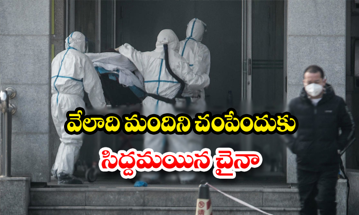  Chaina Ready To Kill Carona Virus Effected People-TeluguStop.com