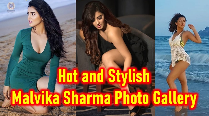  Hot And Stylish Malvika Sharma-TeluguStop.com