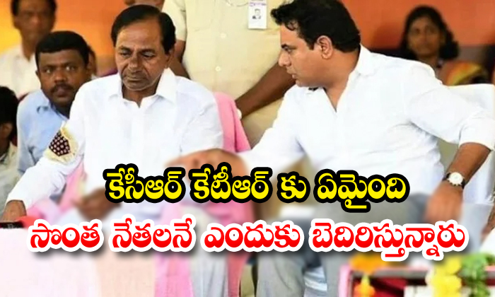  Kcr And Ktr Focus On Trs Leaders And Municipal Councillor-TeluguStop.com