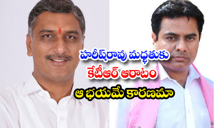  Ktr Fears About Harish Rao-TeluguStop.com