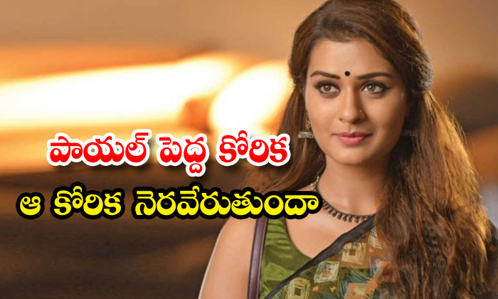  Payal Rajput Dream Role Become A Act In Sridevi Role In Biopic-TeluguStop.com