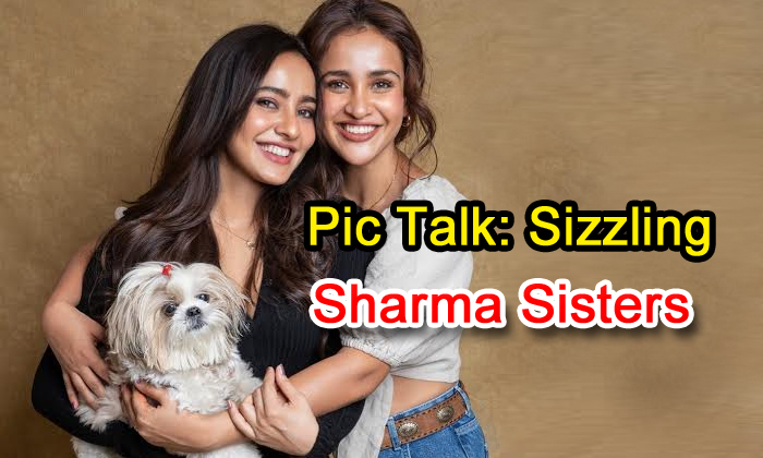  Pic Talk: Sizzling Sharma Sisters-TeluguStop.com