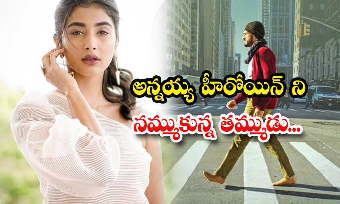  Pooja Hegde Finalized Akhil New Movie Heroine-TeluguStop.com