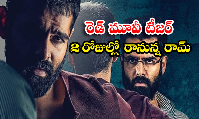  Ram Red Movie Teaser Date Fix-TeluguStop.com
