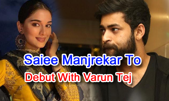  Saiee Manjrekar To Debut With Varun Tej-TeluguStop.com