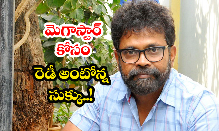  Sukumar Pens Script For Megastar-TeluguStop.com