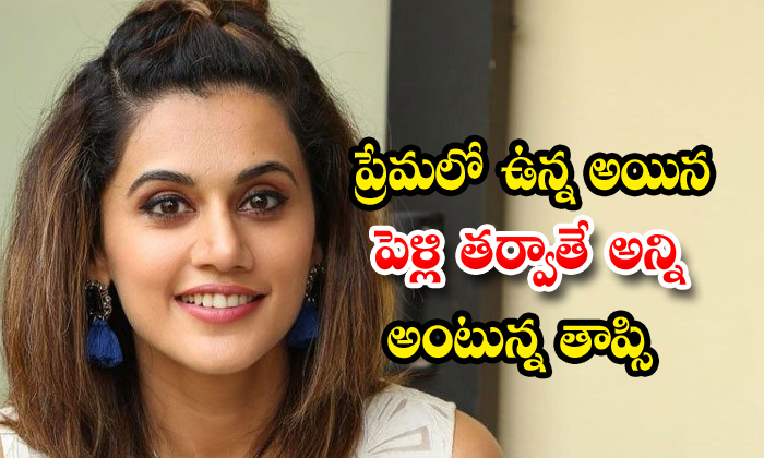  Tapsee Gives Celerity On Her Boy Friend-TeluguStop.com