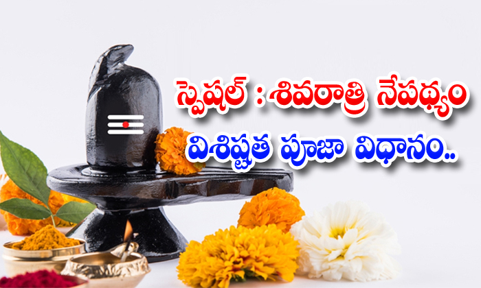  What Is The Specialty Of Maha Shivaratri And How To Do Pooja This Day-TeluguStop.com