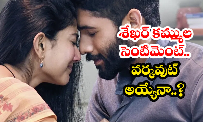  Sekhar Kammula On Nagachaitanya And Sai Pallavi-TeluguStop.com