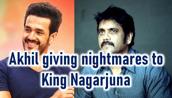  Young Hero Giving Nightmares To Akkineni Nagarjuna-TeluguStop.com