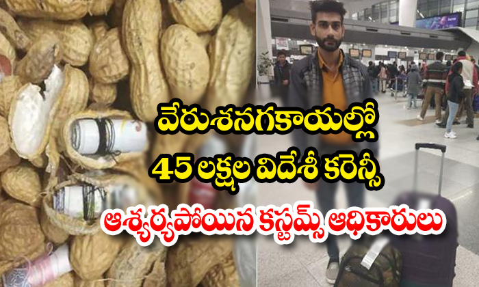  Delhi Customs Officer Seized 45 Lakh Rupees Foreign Currency In Groundnut-TeluguStop.com