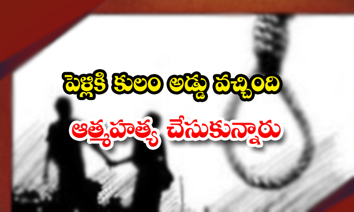  Lovers Commit Suicide In Chittoor District-TeluguStop.com