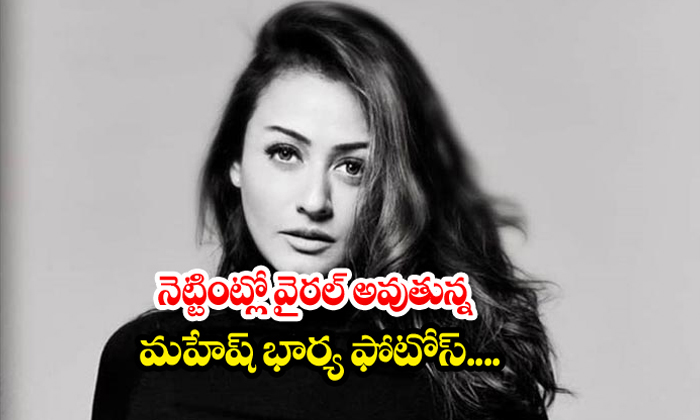  Mahesh Babu Wife Namrata Shirodkar Photos-TeluguStop.com