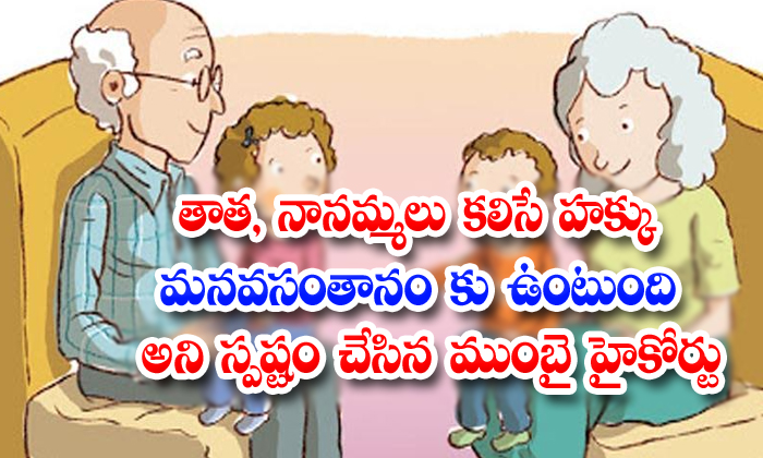  Not Right To Deprive Childs Access To Grandparents High Court Ordered-TeluguStop.com