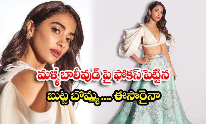  Pooja Hegde Focus On Bollywood Film Industry-TeluguStop.com