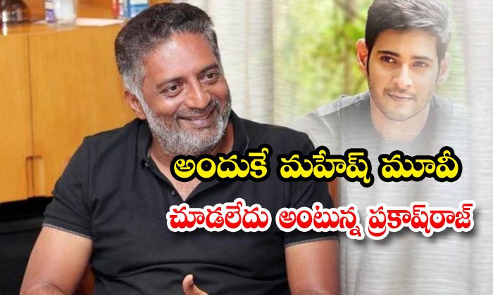  Prakash Raj React About Mahesh Sarileru Neekevvaru Movie-TeluguStop.com