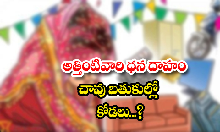  Womenharassment Because Of Dowry-TeluguStop.com
