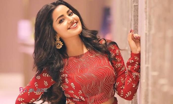  Anupama Not Interested To Act In Bold Characters, Tollywood, Kollywood, South Ci-TeluguStop.com