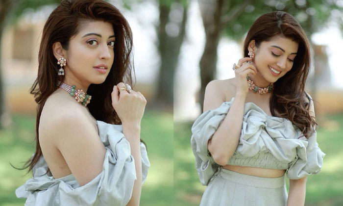 Beautiful Pranitha Subhash Images-telugu Actress Photos Beautiful Pranitha Subhash Images - Pranithasubhash High Resolution Photo