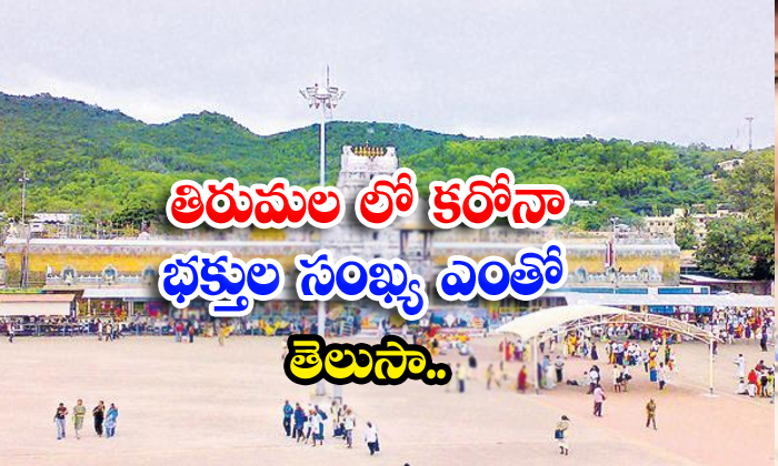  Corona Effected In Tirumala Do You Know How Many Peoples Attend In Tirumala-TeluguStop.com