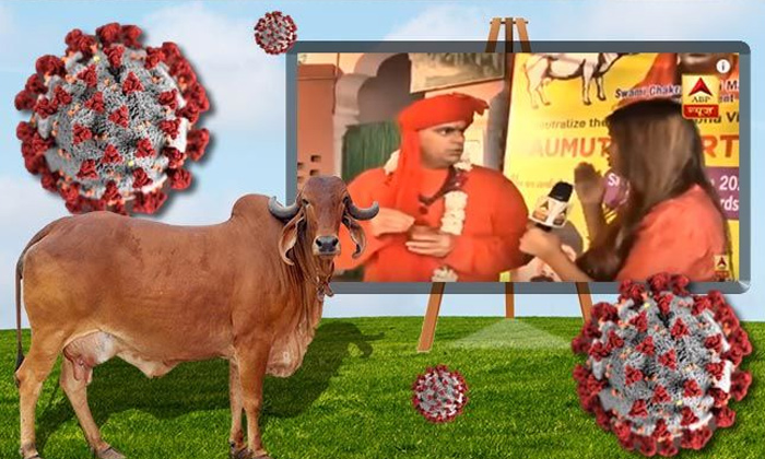  Corona Virus Effect Cow Urine Milk 500rs-TeluguStop.com
