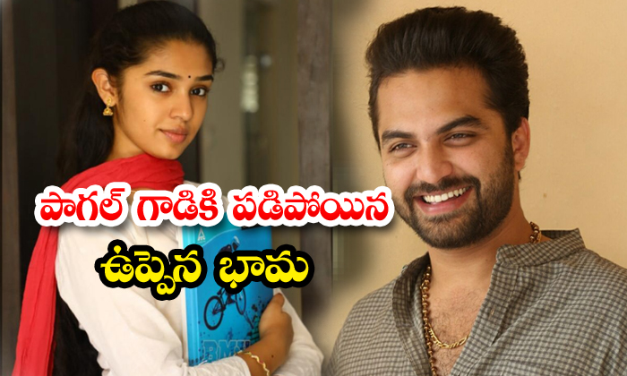 Krithi Shetty To Romance Vishwak Sen Pagal Movie Heroine - Telugu