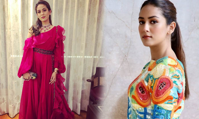 Mira Rajput Latest Images - Mira Rajput Latest Images Bollywood Actress Latest Movie Images And Clips Seen Telugustop-t High Resolution Photo