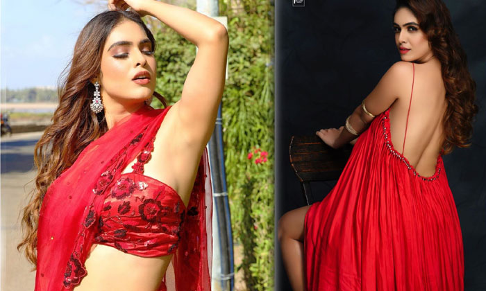 Neha Malik Stunning Hot Saree Images -  Neha Malik Stunning Hot Saree Images-telugu Actress Photos Neha Malik Stunning H High Resolution Photo